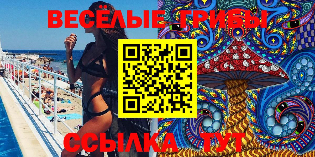 Псилоцибиновые грибы Psilocybine cubensis Самара