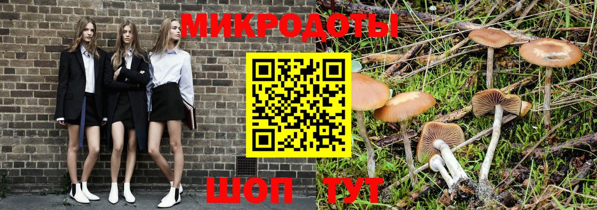 Псилоцибиновые грибы Cubensis  Вход с VPN  Самара 